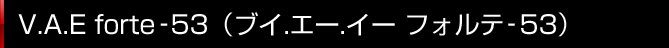 V.A.E Forte 53�i�u�C.�G-.�C-�t�H���e 53�j 